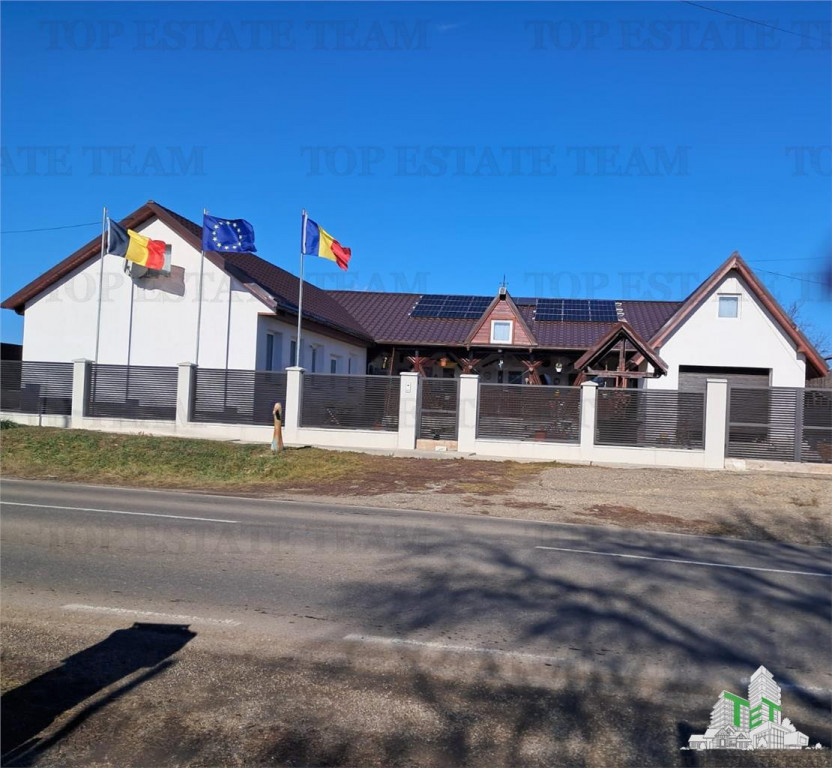 Vila 450 mp Topolita, Neamt