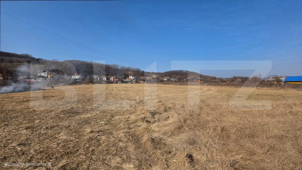 Teren intravilan de vanzare, 20.000 mp, zona Viișoare