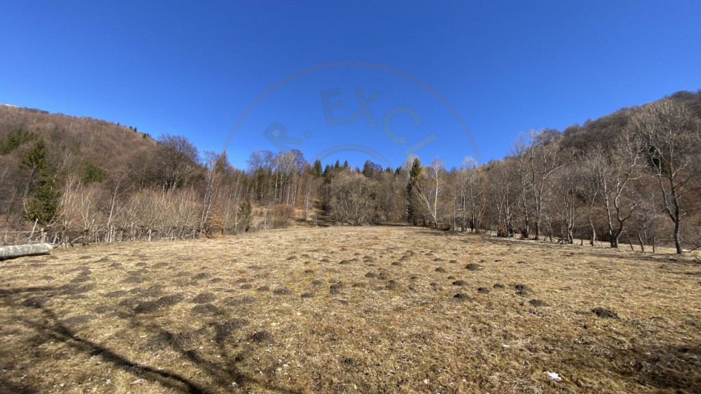 Teren 5597mp intravilan la munte-Dragoslavele. 0% COMISION