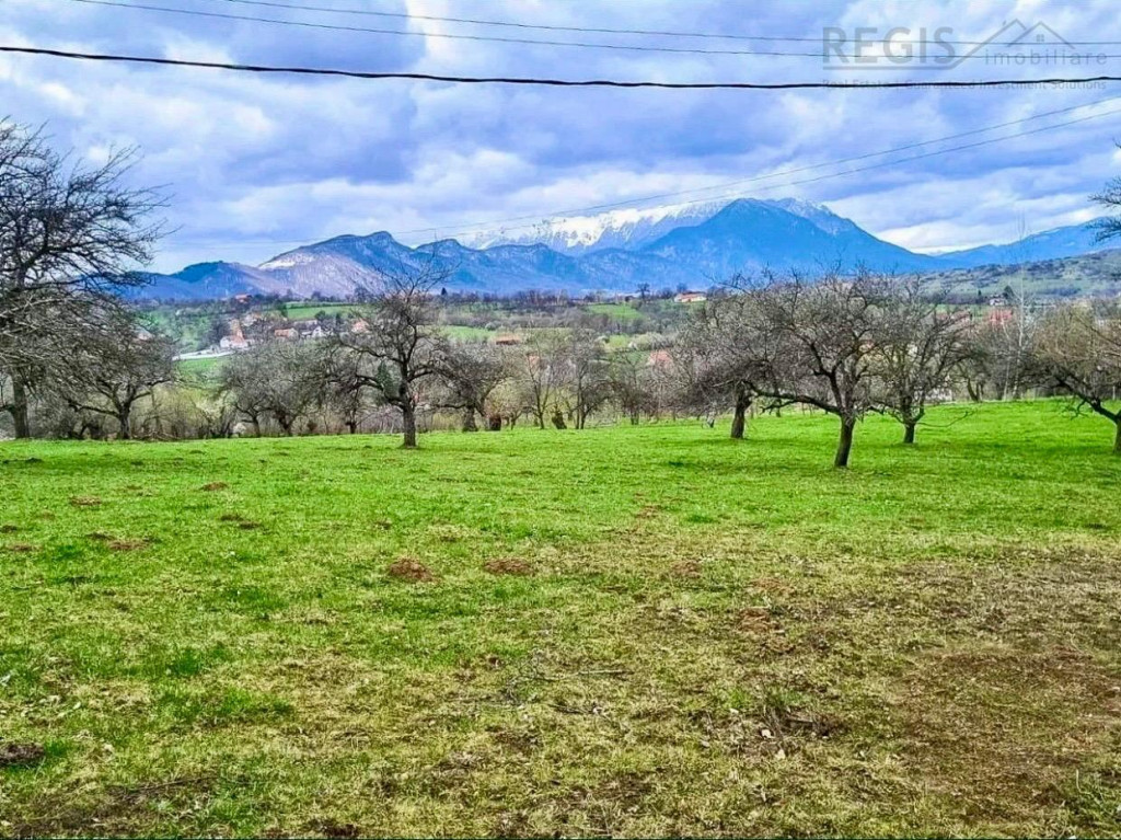 Teren de in Sohodol – Priveliste deosebita, loc ideal p...