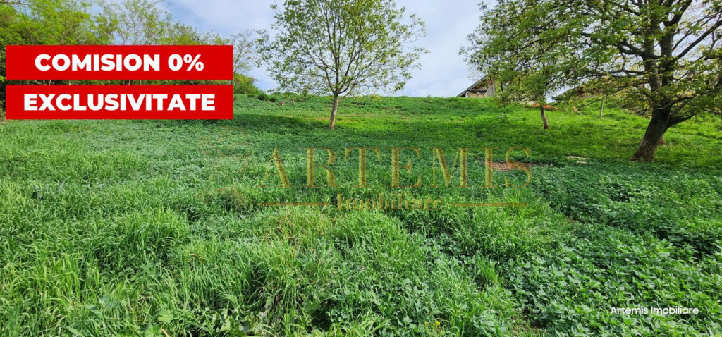 Investitie, Teren intravilan, constructii, 5800 mp, Turda