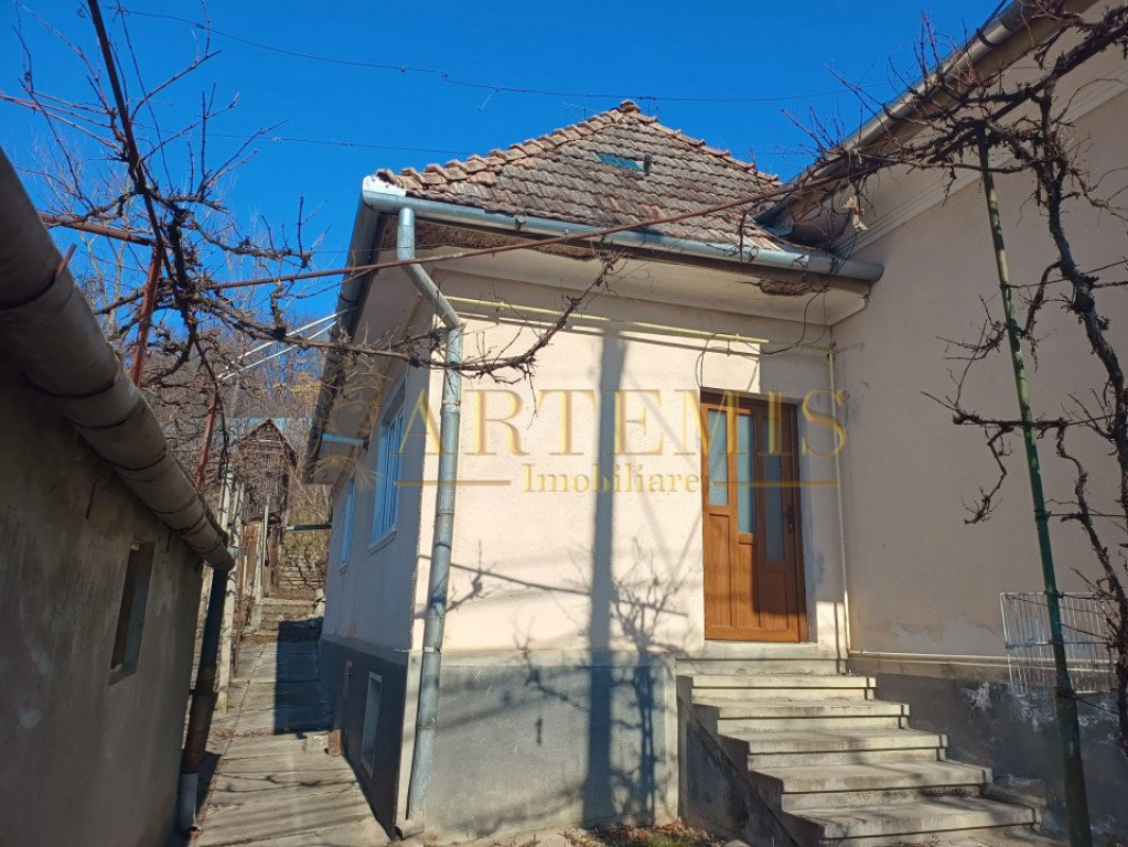 Casa cu 2 camere, curte si gradina, la 5 minute de Centru