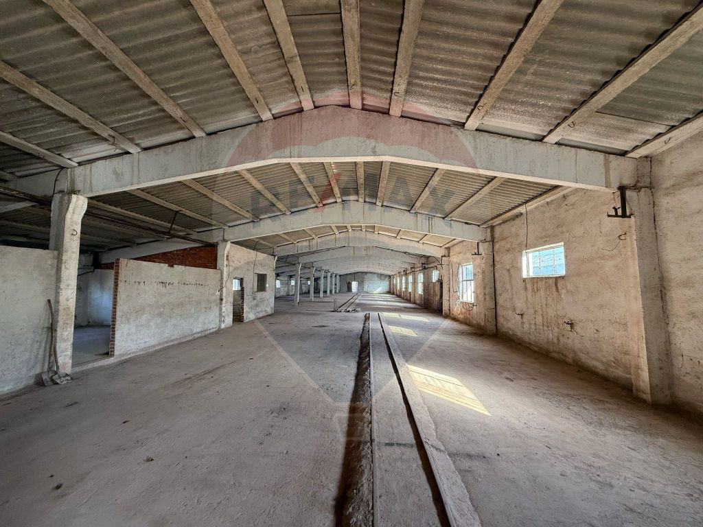 De vânzare spații de producție și depozitare (hale),S...