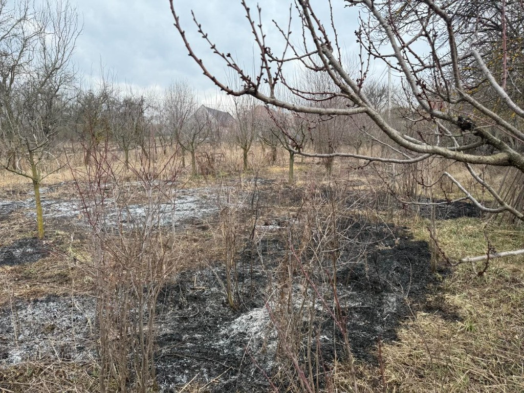 Oportunitate de excepție în comuna Sălicea Cluj