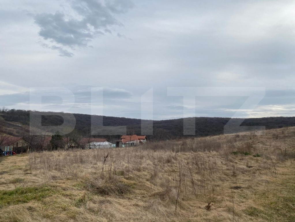 Teren pentru casă 800mp în Uricani, aproape de pădure