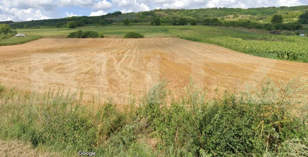 Teren intravilan la strada principala