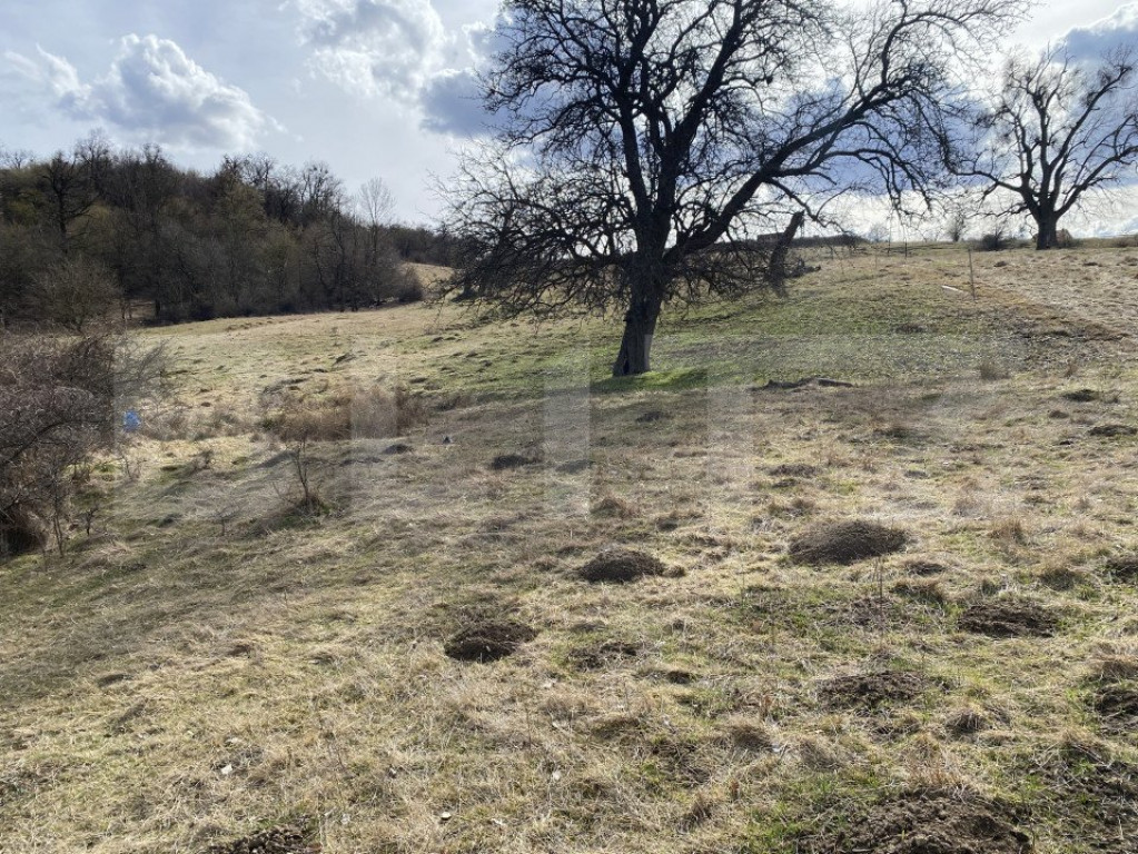 Teren extravilan in suprafata de 7500 mp la poalele Mesesulu