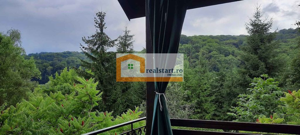 Langa Sighisoara, Vedere la Padure, si iazuri proprii, 1,...