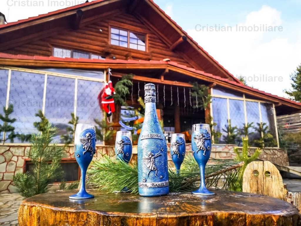 RATE Pensiune Superba*** 12 cam malul Lac Mocearu piscina