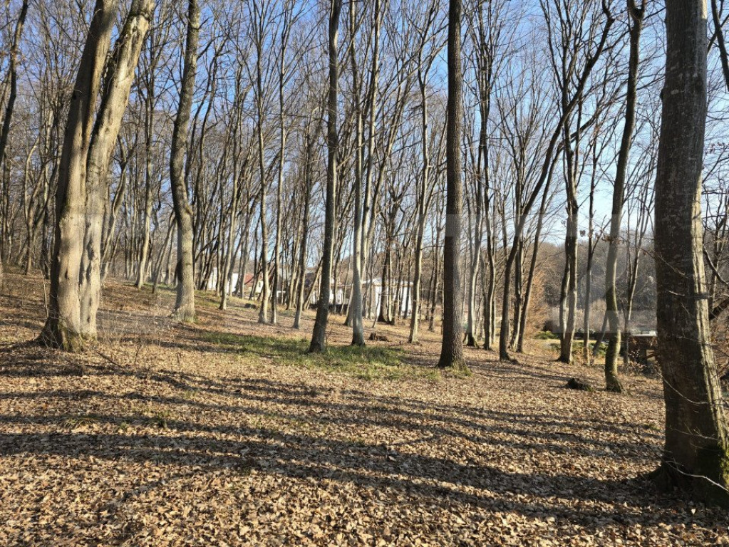 Teren cu sufrafata de 1100 mp in Padurea Faget