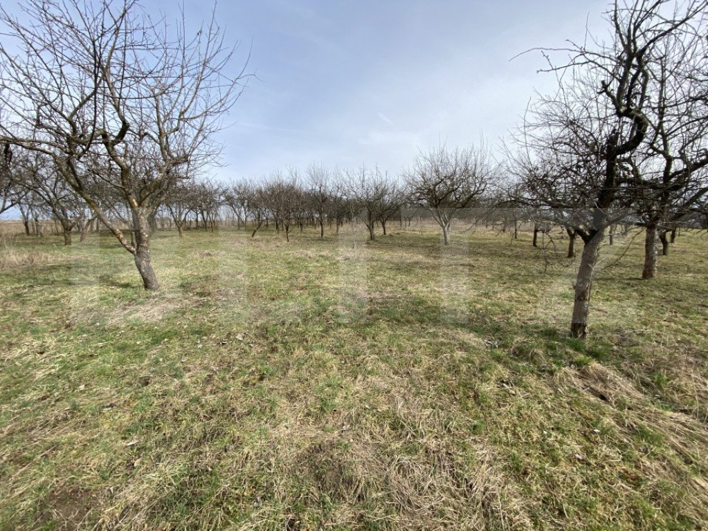 Teren intravilan de vanzare, 5400 mp, in zona Ortelec