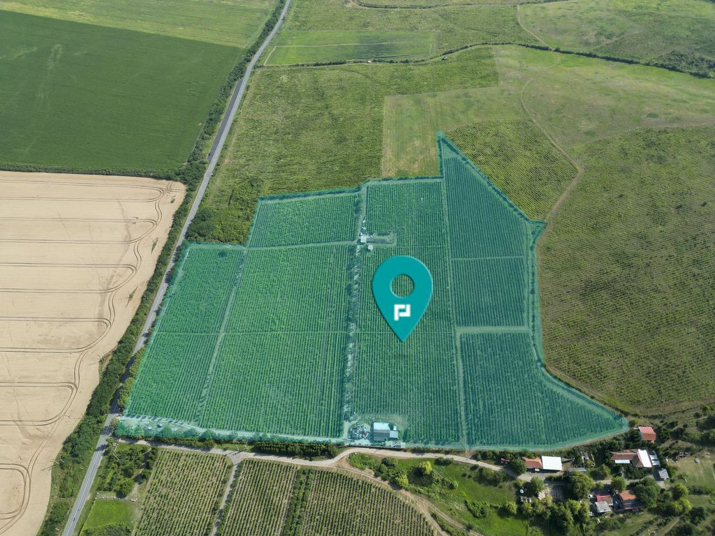 Vie Tradițională „Halta Lupilor”