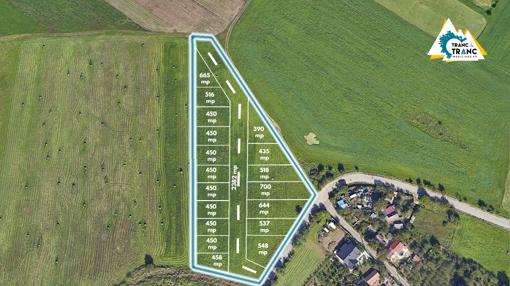 Teren de 11500 mp pentru Complex Rezidențial în Sânnicolau Mic