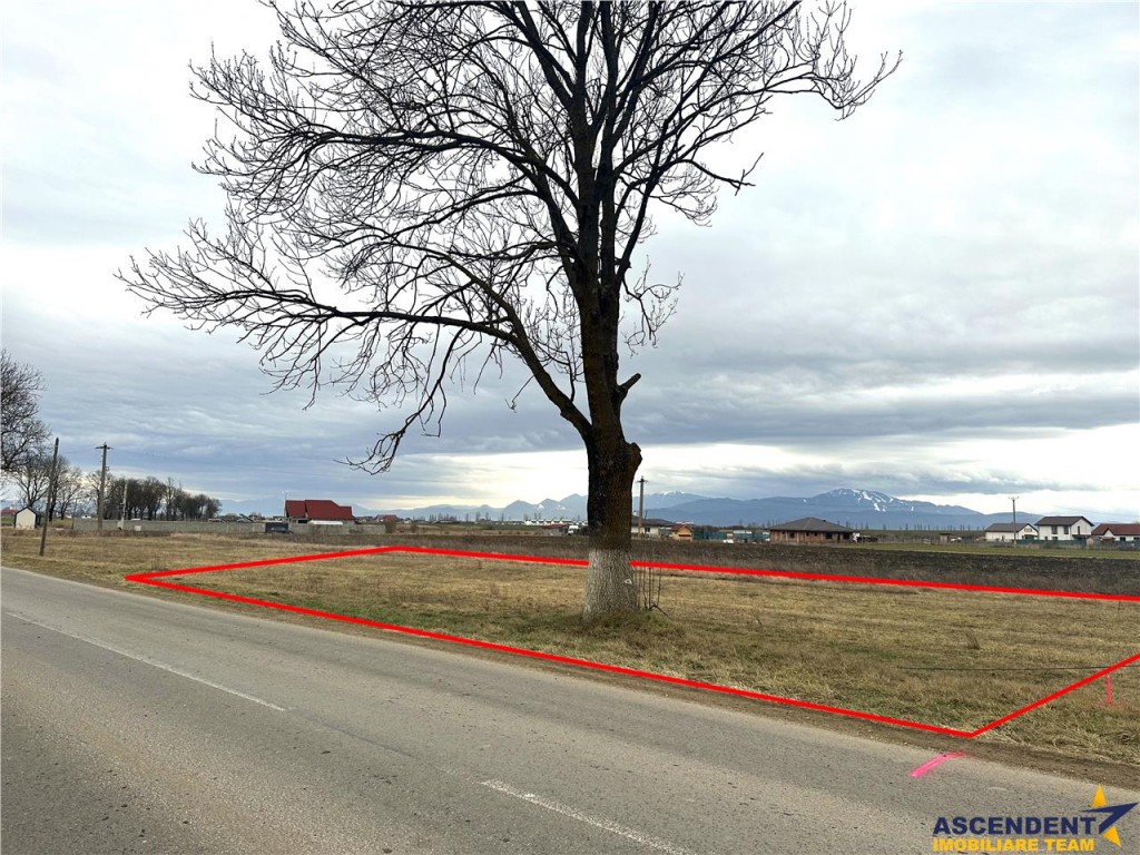 Teren intravilan, zona excelenta, Satu Nou, Halchiu