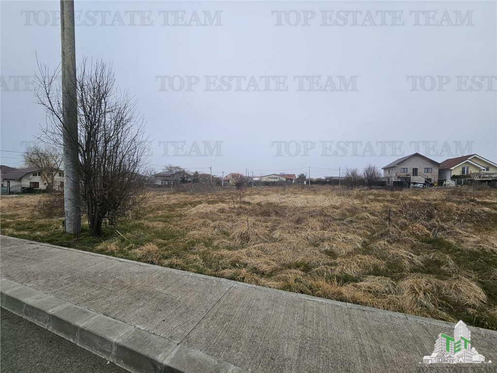 TEREN INTRAVILAN 1000 MP COSTINESTI