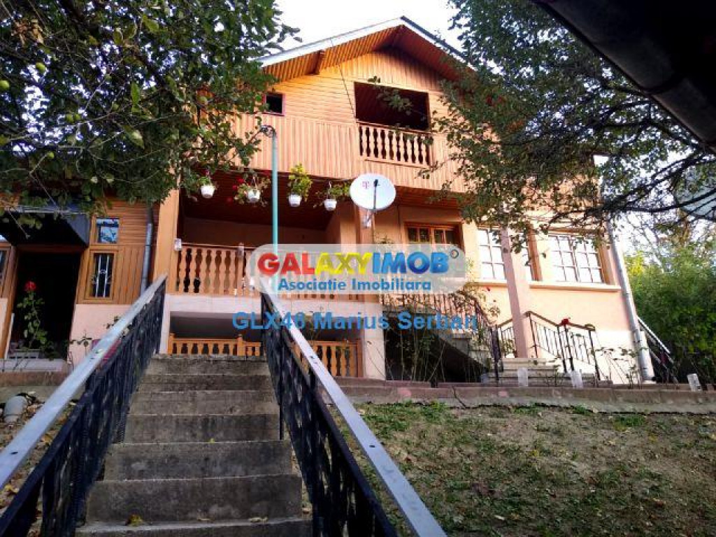 Casa Visinesti, Dambovita