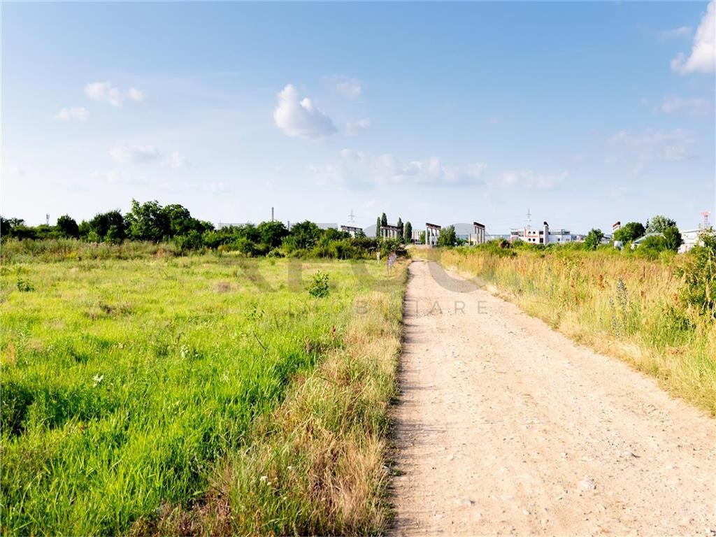 RECO Teren Balcescu 6400 MP Oradea