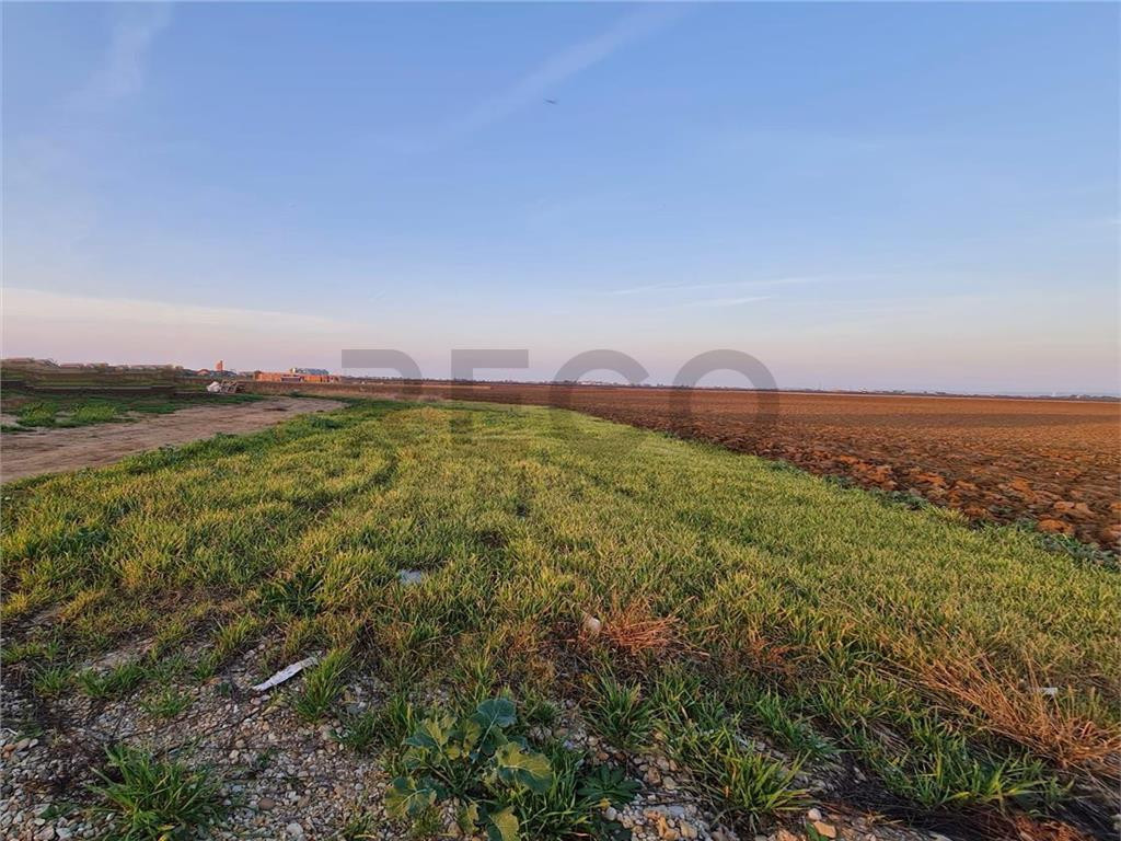 RECO TEREN INTRAVILAN, PALOTA