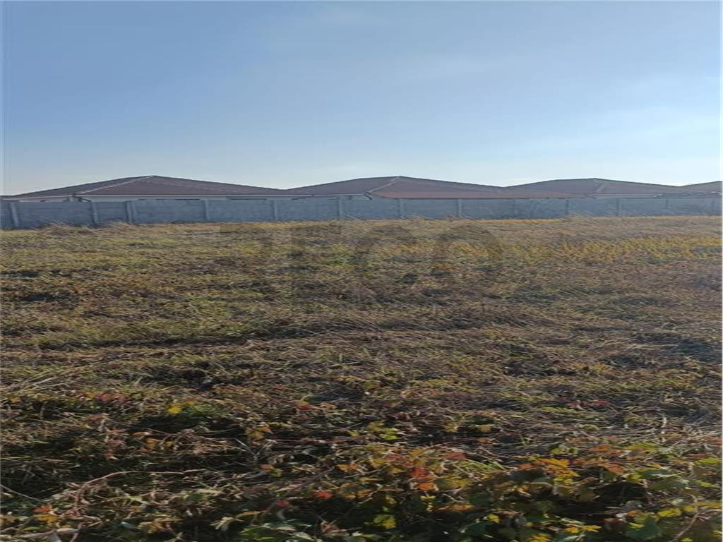 RECO TEREN INTRAVILAN, CHERIU