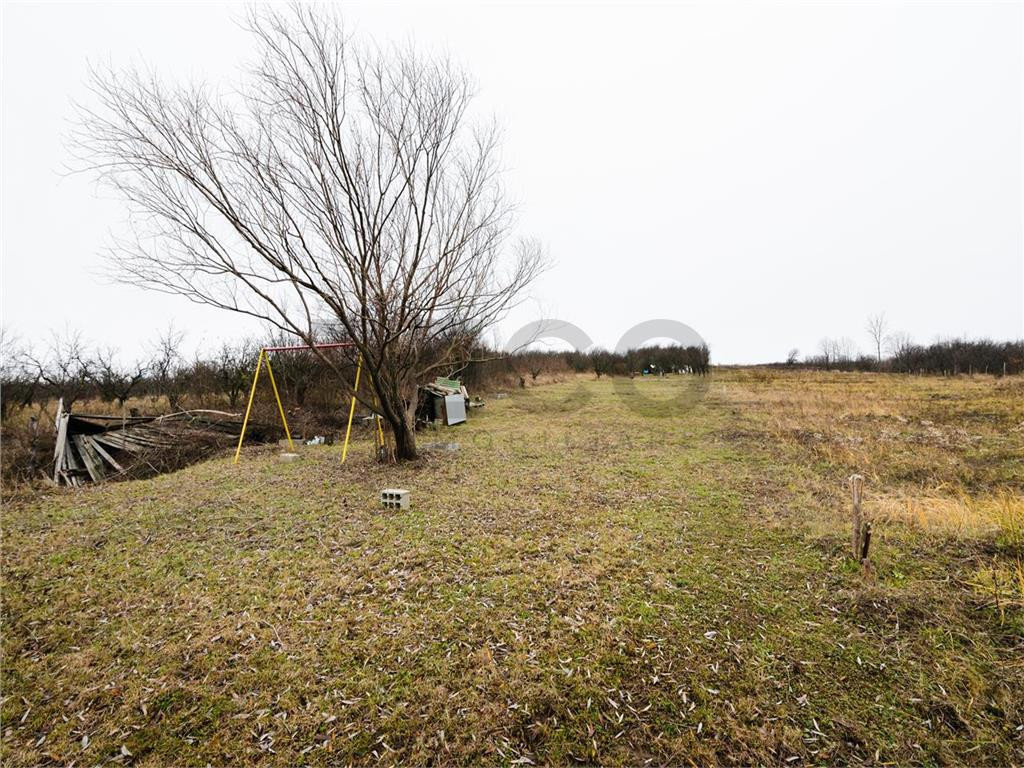 RECO Teren intravilan, Podgoria