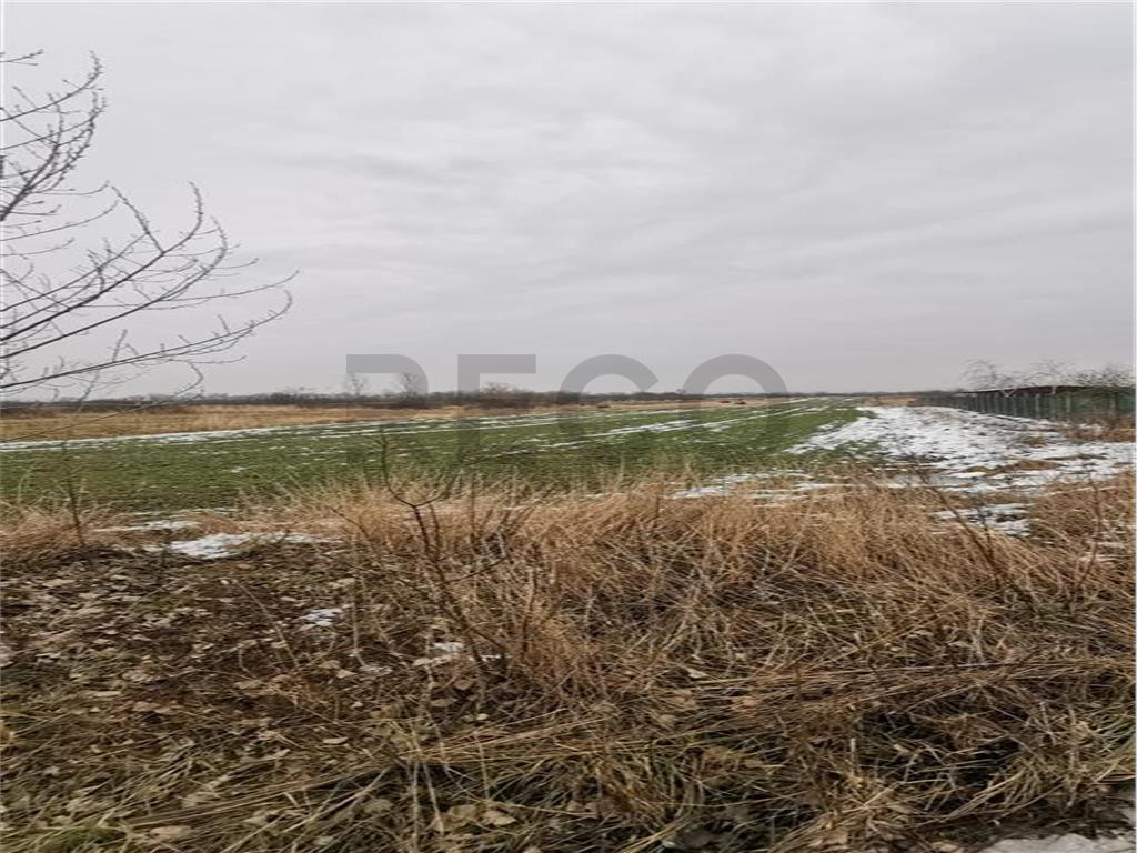 RECO Teren intravilan Sacadat 9553 MP