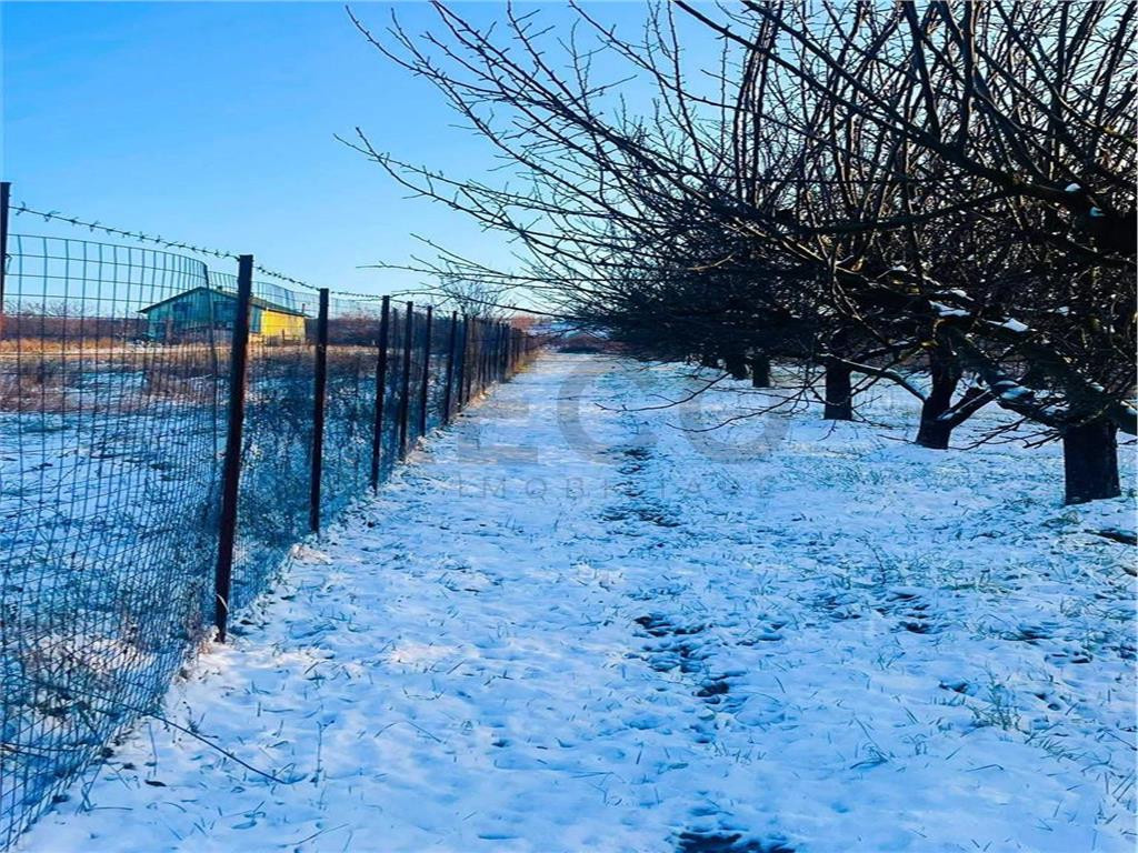 RECO CASA CU MANSARDA SI LIVADA