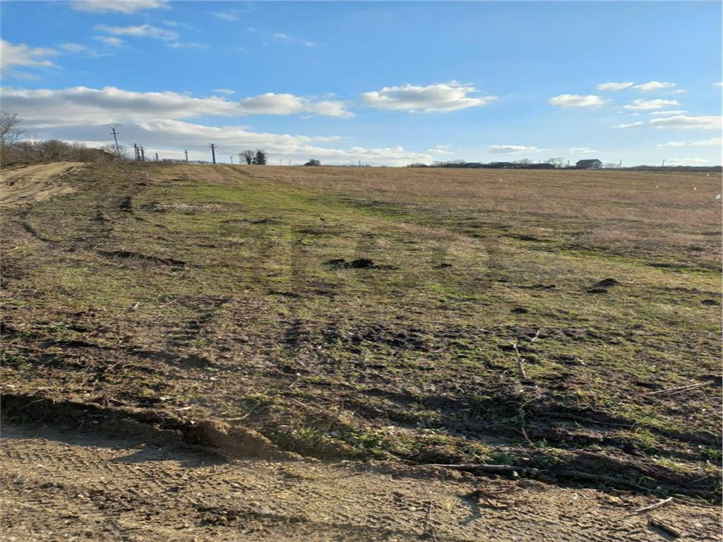 RECO Teren intravilan in Sauaieu, BIHOR