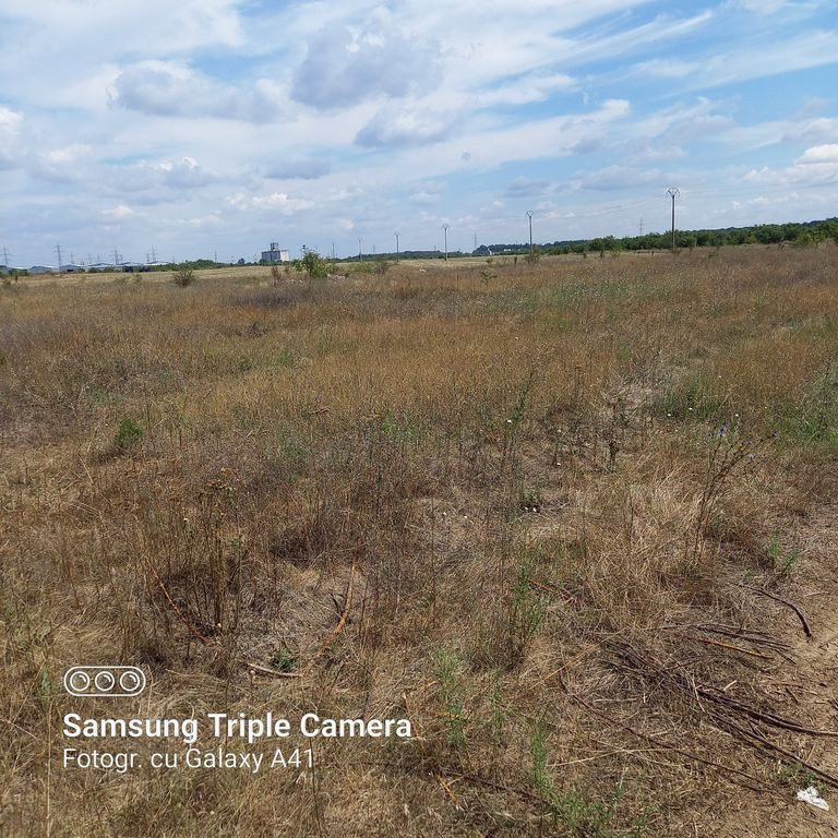 Tern 10000mp-Dobroesti- Pantelimon