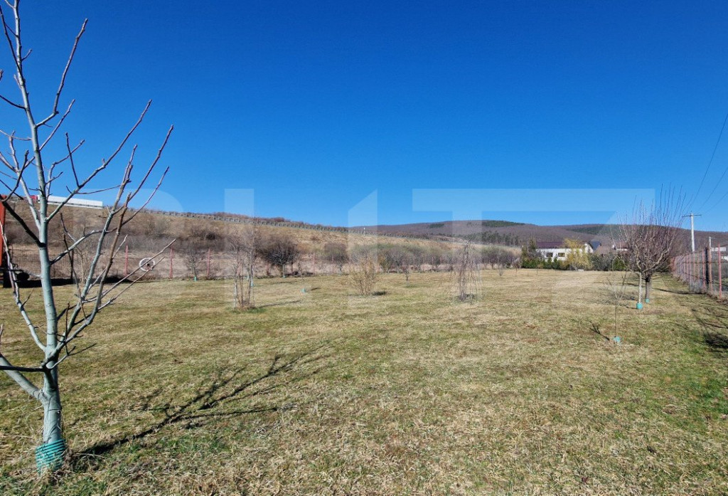 Oportunitate de investitie! Teren intravilan, 3244mp, Luna d