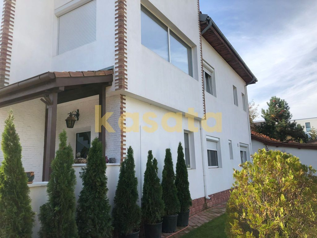 Vila deosebita 11 camere Erou Iancu Nicolae