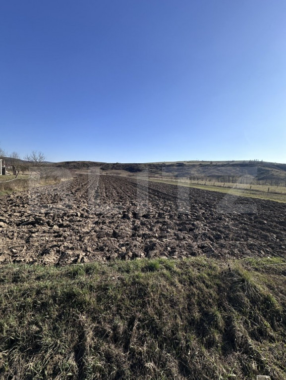 Teren intravilan 5.800 mp, potențial de parcelare-construc?