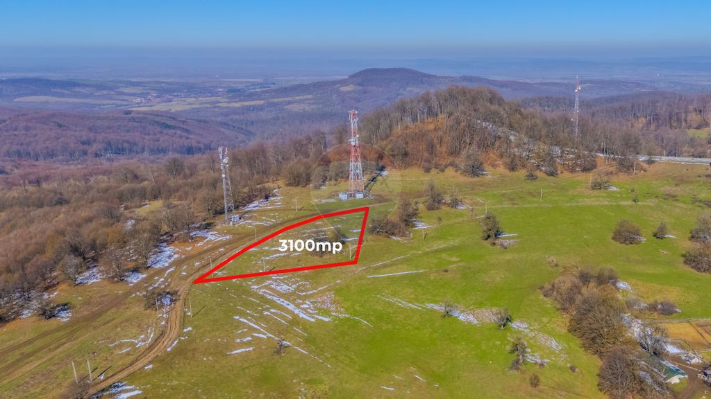 Teren 3,100mp /Intravilan/ Dumbrăvița