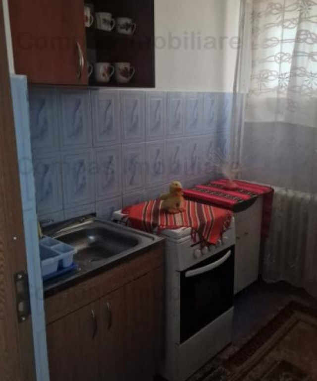 Apartament 2 camere pe Aleea Ulmilor