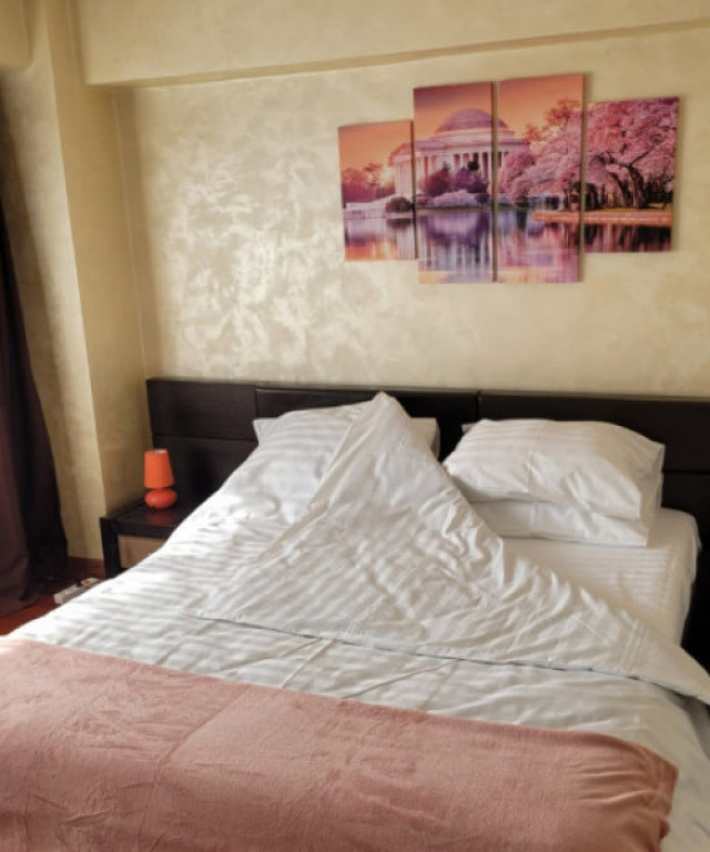 Apartament complet mobilat si utilat - Unirii - Curtea de Ap