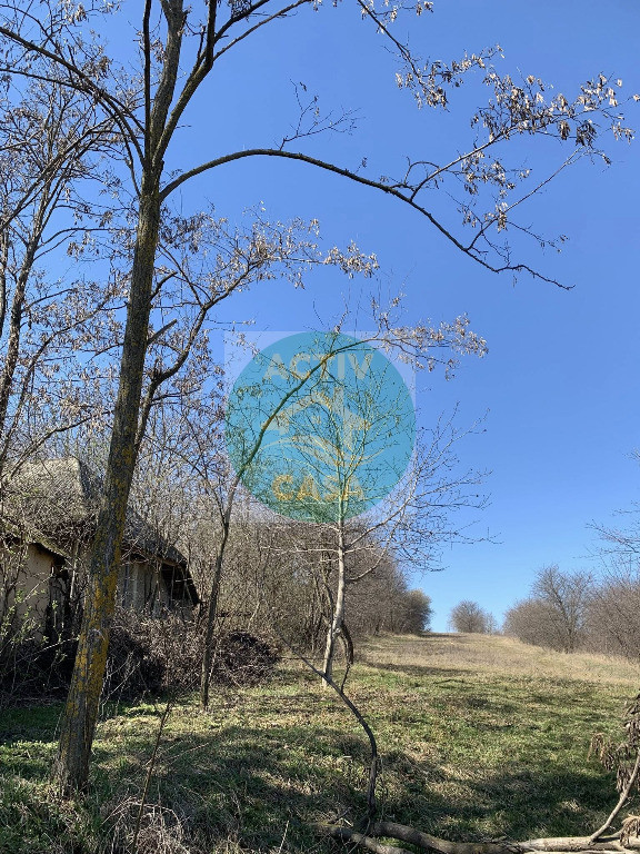 Teren 4000 mp si casa batraneasca, zona Moldoveni,Neamt