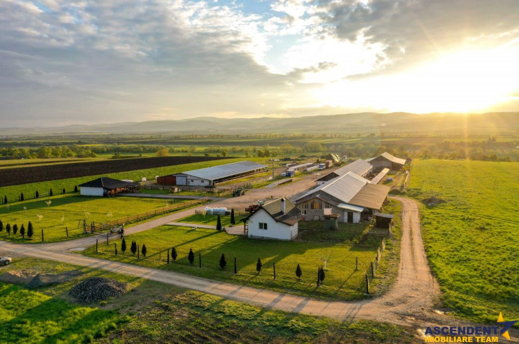 FilmTur LIVE! Ferma Anexe specifice Constructie rezident