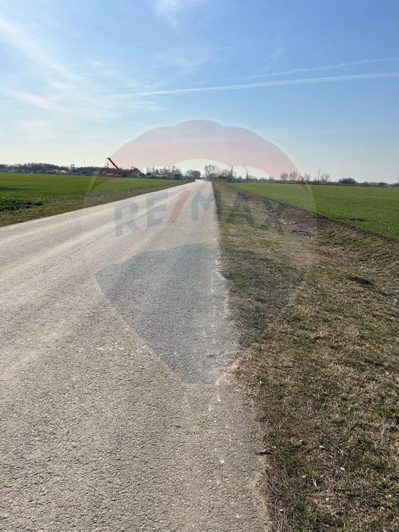 Vanzare Teren 12,900mp Moara Vlasiei / Drumul Teilor