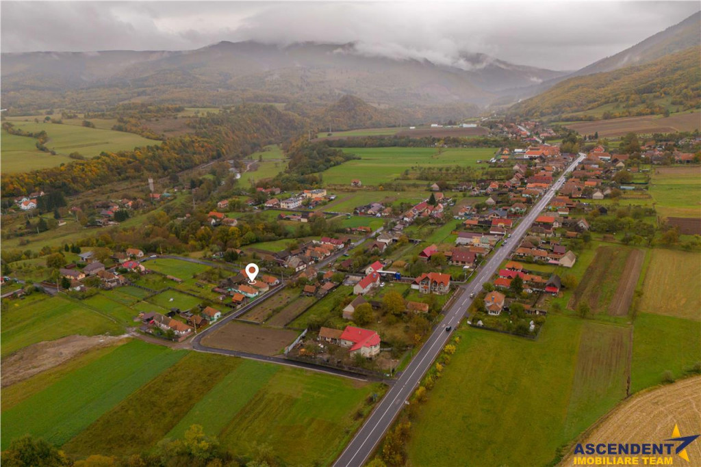 FILM! In pretios areal:oportunitate personalizare,Casa tere