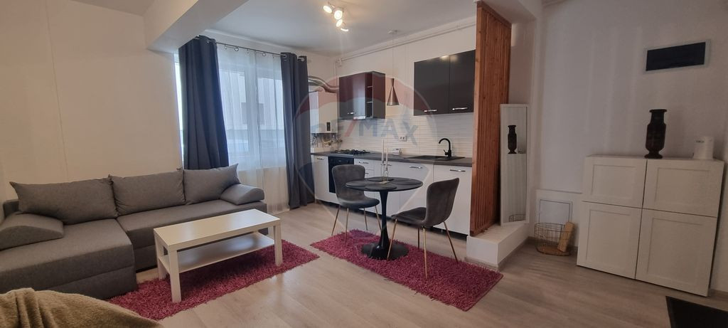 Studio/2 camere cu curte si loc de parcare Strada Biruintei