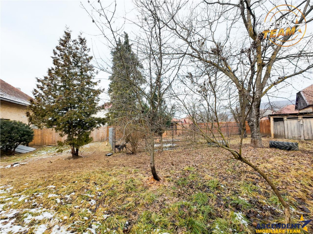 LIVE! Locatie de exceptie,teren generos si spatiu versatil:C