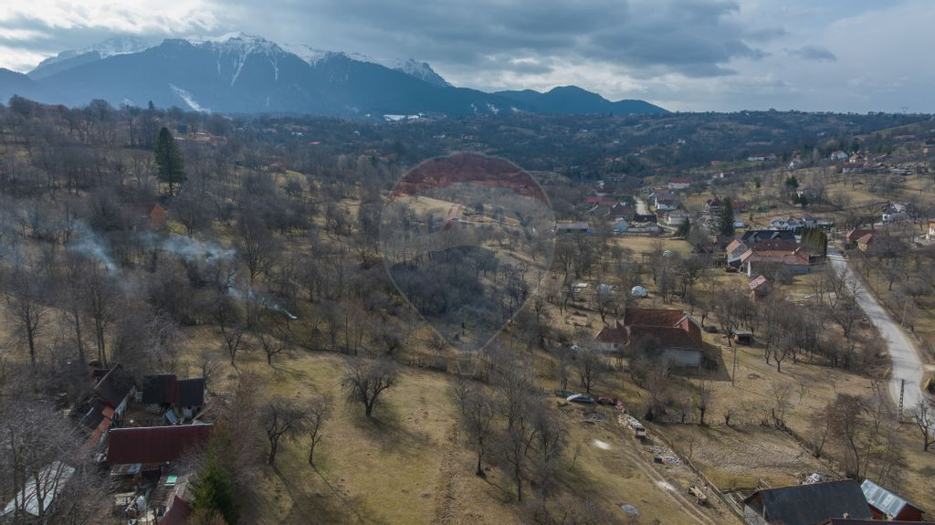 Teren 1,614mp Sohodol / Strada Înv. Ioan Pușcariu