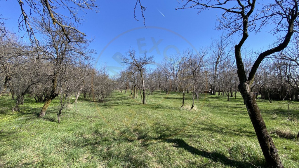 Teren 3470 MP - Bradu, Argeș. Posibilitate plata în 3 rate