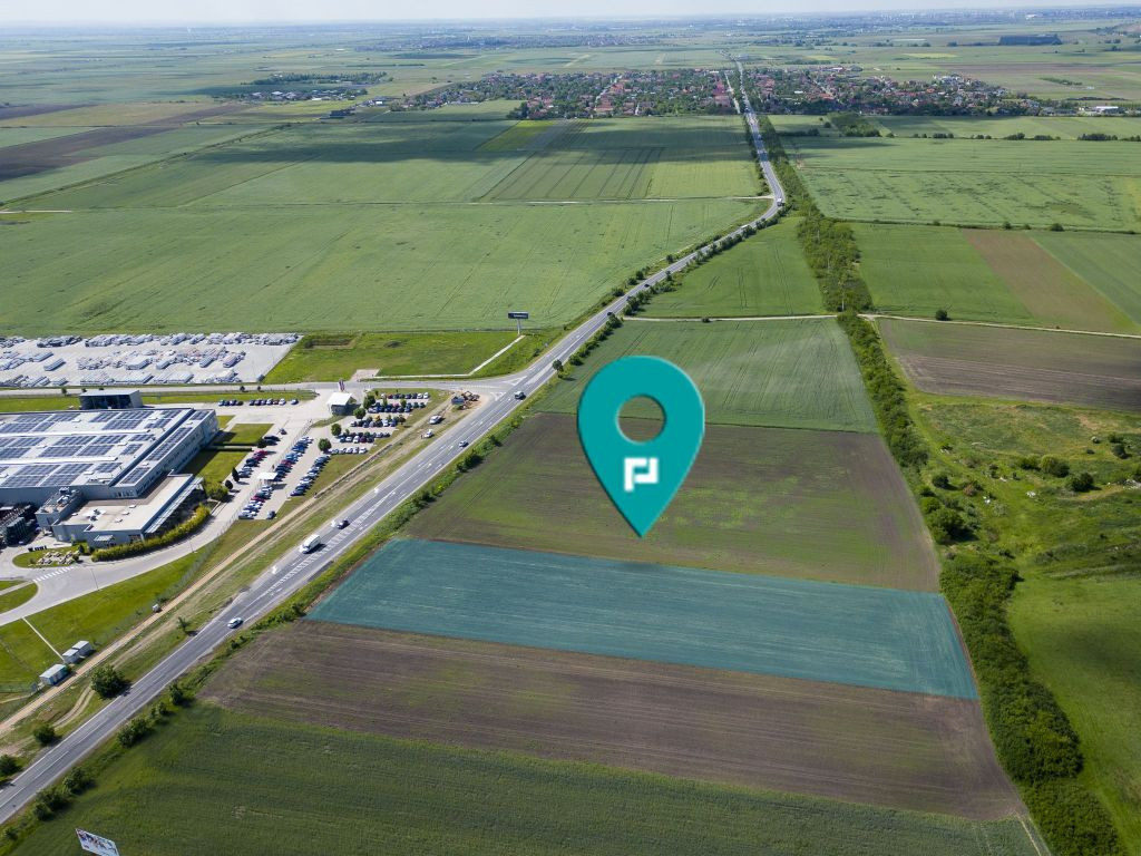 Teren intravilan de 8000 mp în Zimandu Nou