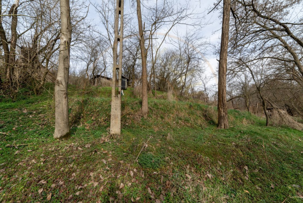 Teren de vânzare – 1221 mp în Budeasa Mică, zonă lini?