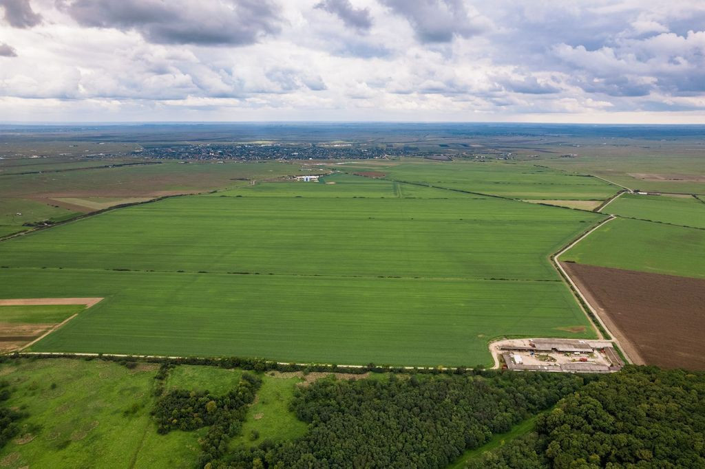 Teren arabil de 1074 hectare în Ialomița