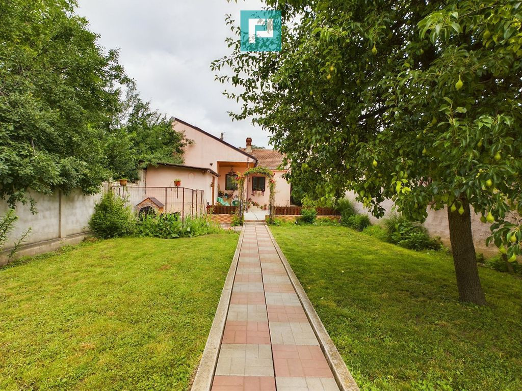 Casă individuală pe Malul Mureșului!