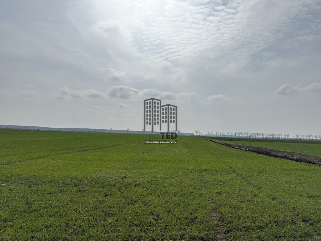 Teren intravilan de vânzare în Buftea – 1884 mp