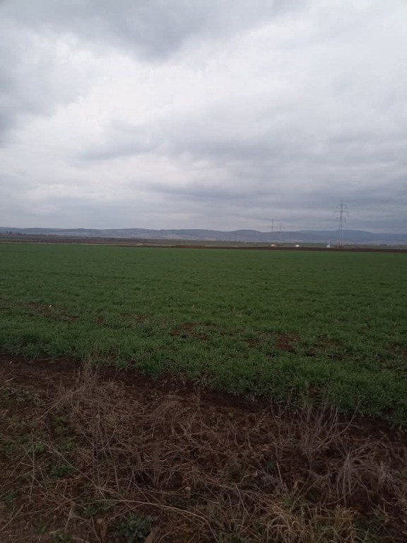 De vânzare terenuri intravilane între Chilieni si Ozun