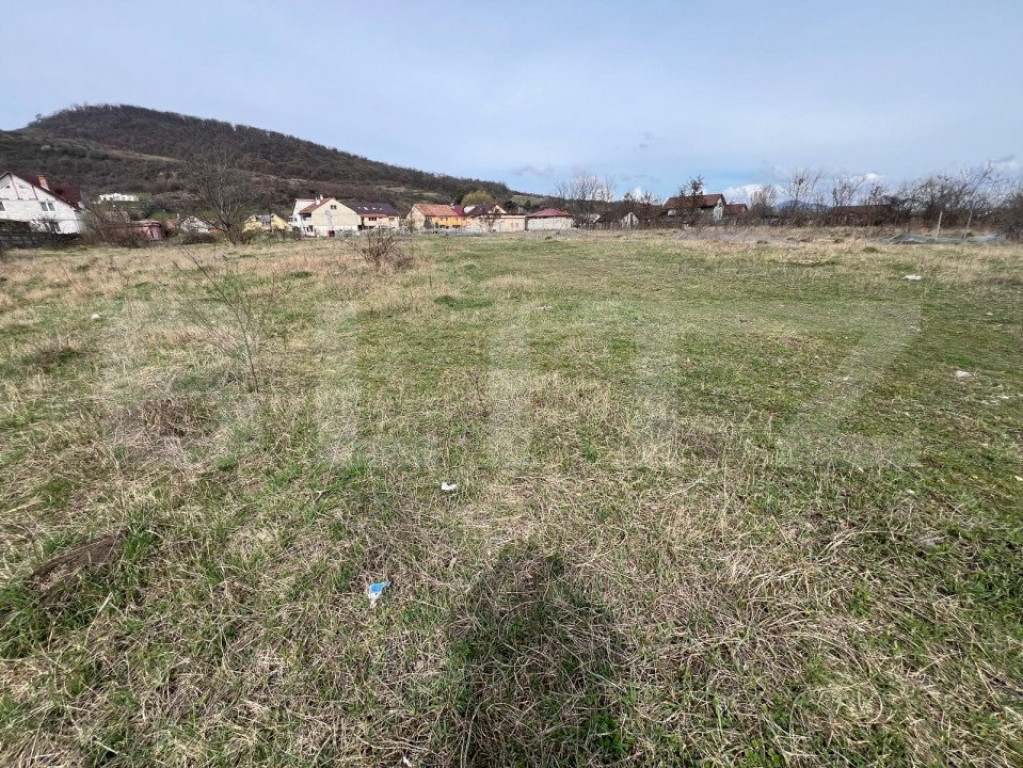 Teren Intravilan de vanzare, 4400 mp, zona Viisoara