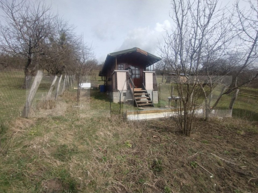 Teren 3 ari+cabana,zona Livezile